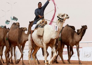 S. Arabistan çölünde 2 bin yıllık deve heykelleri keşfedildi