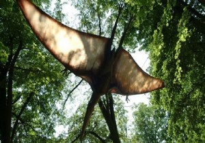 ABD'de yeni bir uçan dinozor türü keşfedildi