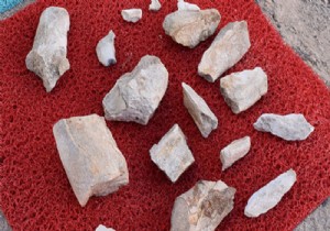 Kayseri'de 10 milyon yıllık fil fosilleri bulundu