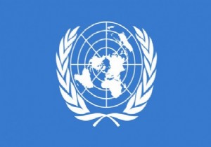 BM Özel Raportörü Arakan'daki şiddetten endişeli