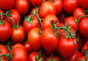 Rusya'dan 4 şirkete daha domates izni