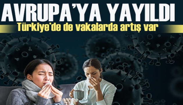 Avrupa'da yayıldı, Türkiye'de de vakalarda artış var!