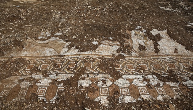 Mardin'de deniz canlıları figürlü mozaikler bulundu