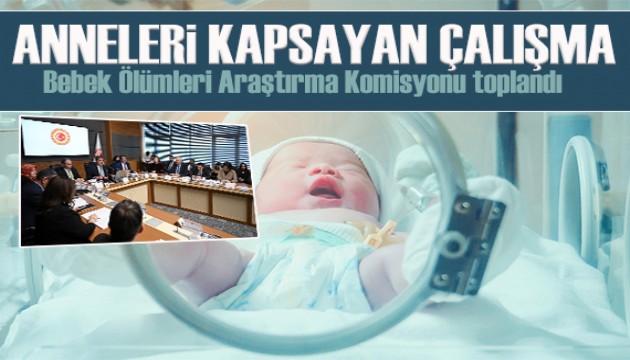 Bebek Ölümlerini Araştırma Komisyonu toplandı: Anneleri kapsayan çalışma