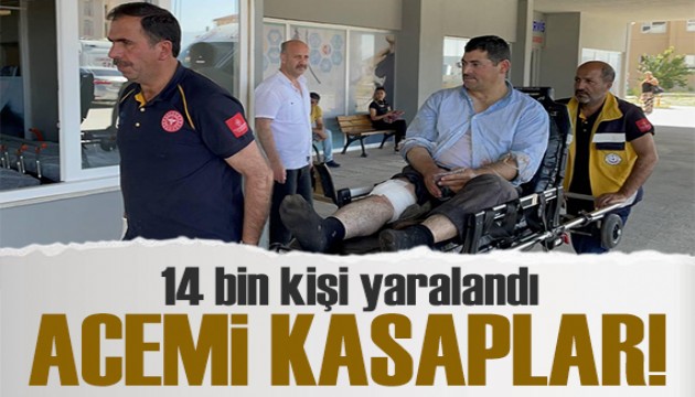 Bakan Memişoğlu: 14 bin 372 kişi kurban kesimi sırasında yaralandı