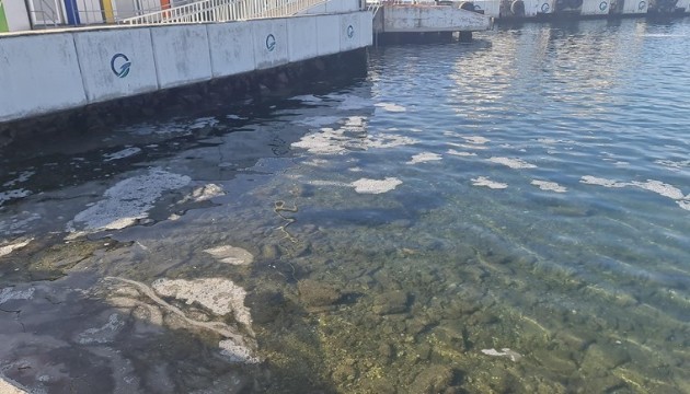 Çanakkale Boğazı'nda 'müsilaj' tespit edildi