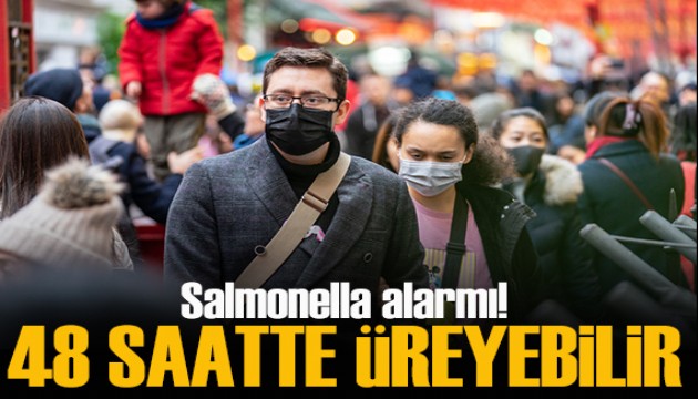 Salmonella alarmı: 48 saatte üreyebilir!