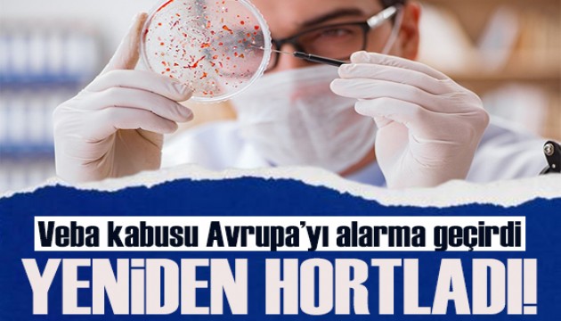 Veba 30 yıl sonra yeniden hortladı! Avrupa alarma geçti!