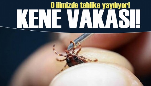 Tehlike artıyor! O ilimizde kene vaka sayısı 7 bini aştı
