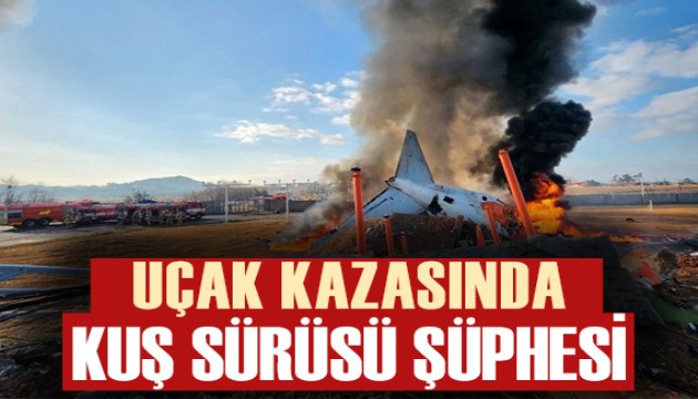 Güney Kore'de uçak kazası: 179 kişi hayatını kaybetti