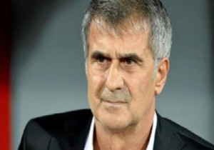 Şenol Güneş'ten milli takım açıklaması