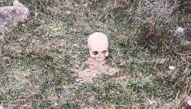 Arnavutköy'de 'insan kafatası' bulundu