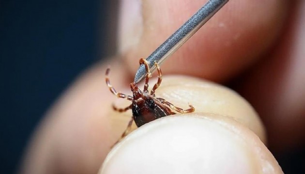 Halk sağlığı uzmanından kene uyarısı