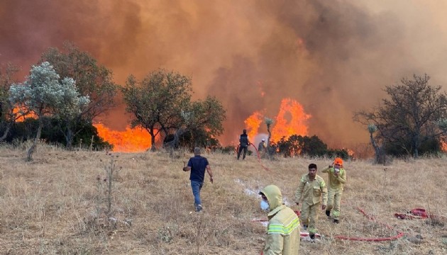 Didim’de makilik alanda yangın