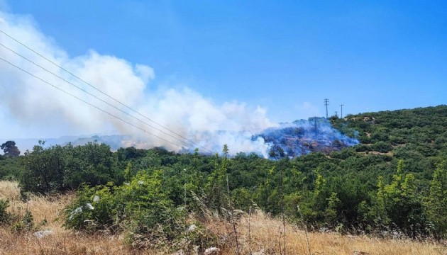Bursa’da orman yangını!