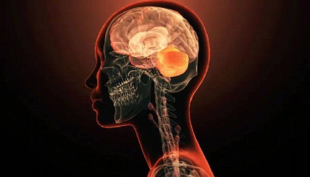 Her hatırlama yeni bir kayıt: Anılar neden zamanla bozuluyor?