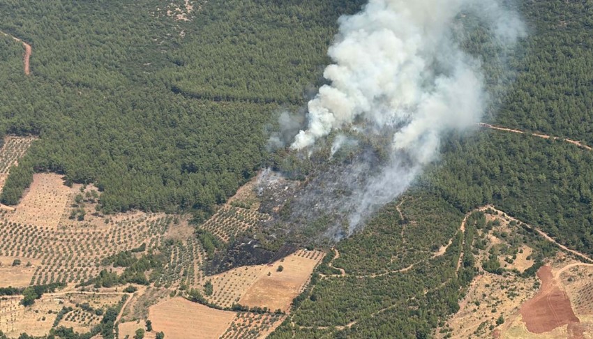 Muğla’da yangın ormanlık alana sıçradı