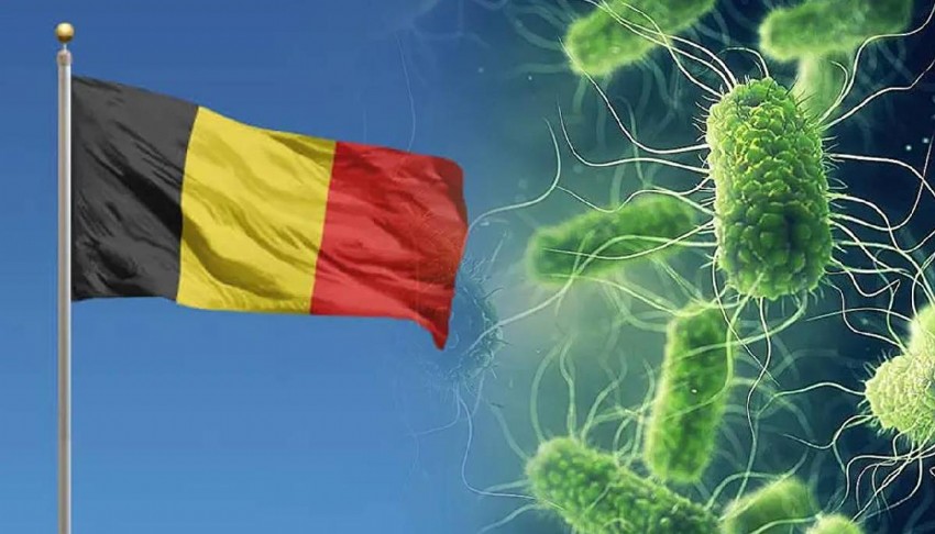Belçika'da Salmonella salgını