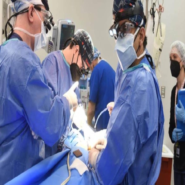 Organ naklinde çarpıcı araştırma: Yaşlı kalpler gençleşebiliyor