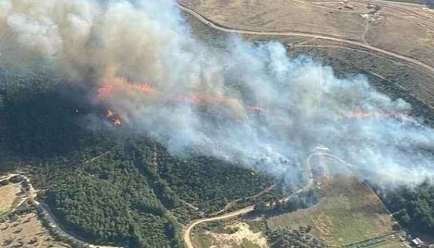 İzmir'de orman yangını