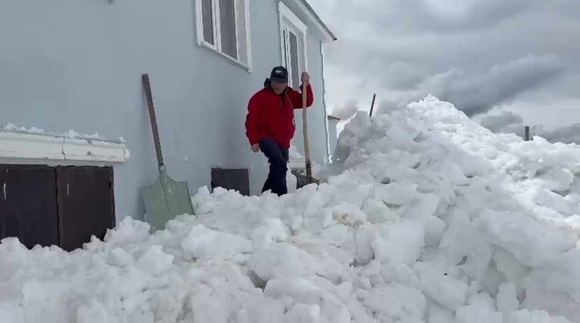 Gümüşhane'de ilginç olay: Ayılar evi bastı!