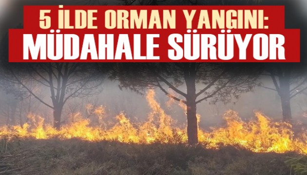 5 ilde orman yangını: Müdahale sürüyor