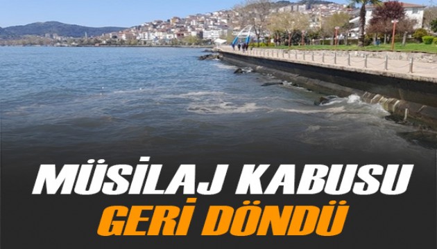 'Müsilaj kabusu geri döndü'