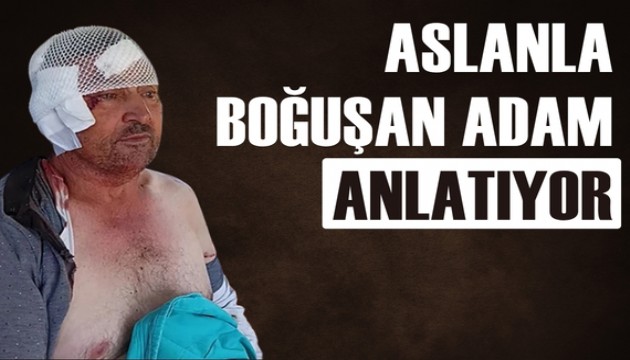 Antalya'da firari aslanla dövüşen adam anlattı