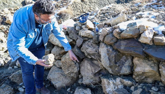 Bingöl’de 50 milyon yıllık deniz canlısı fosili bulundu