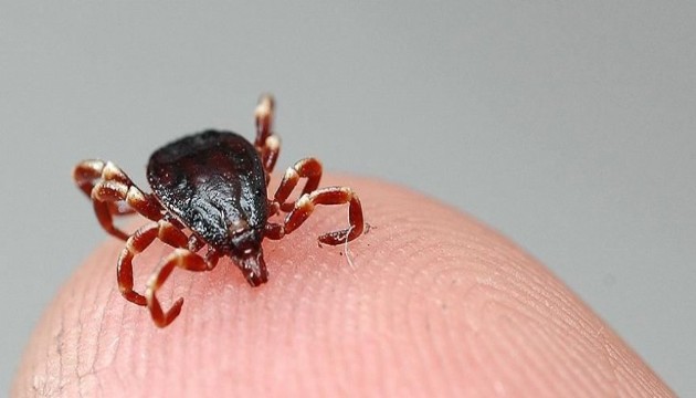 Sağlık Bakanlığı'ndan KKKA açıklaması