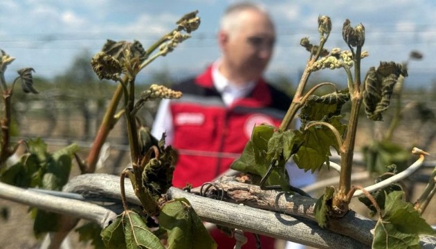 Zirai don maliyeti on milyarlarca liraya ulaştı