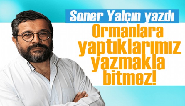 Soner Yalçın yazdı: Ormanlara yaptıklarımız yazmakla bitmez!