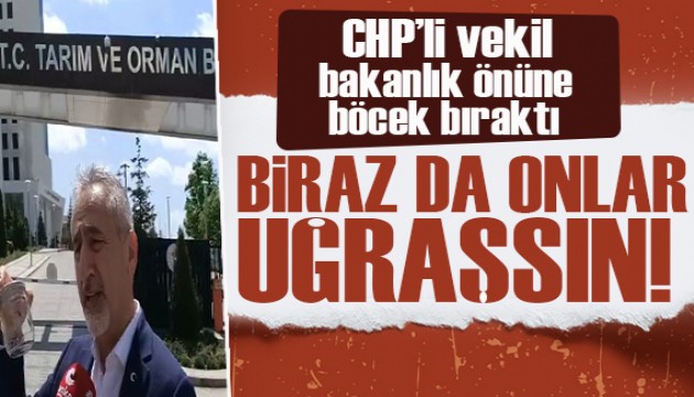 CHP'li vekil bakanlık önüne istilacı böcekleri bıraktı: Tarım bakanı ile kahverengi kokarcayı tanıştırma etkinliğine hoşgeldiniz!