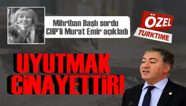 Turktime Parlamento Şefi Mihriban Başlı sordu, CHP'li Murat Emir açıkladı: Sokak Hayvanlarının uyutularak katledilmesini onaylamayız