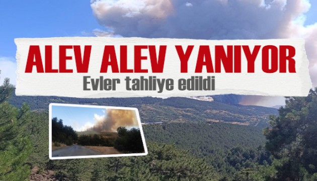 İzmir alev alev yanıyor! Evler tahliye edildi, otoyol trafiğe kapatıldı