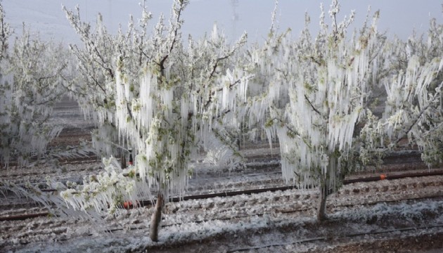 Zirai Don Komisyonu incelemelerde bulundu