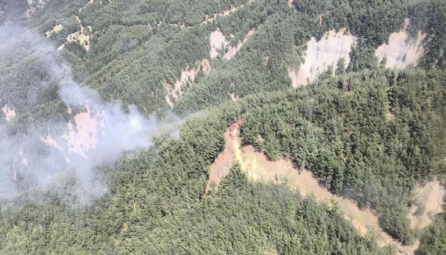Çanakkale'deki orman yangını kontrol altına alındı