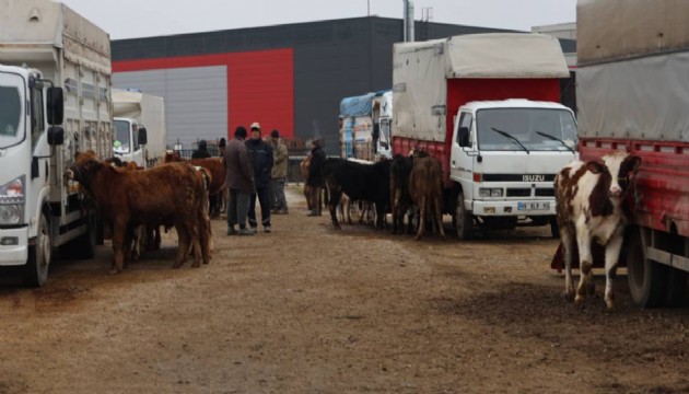 Hayvan pazarına kapatma kararı