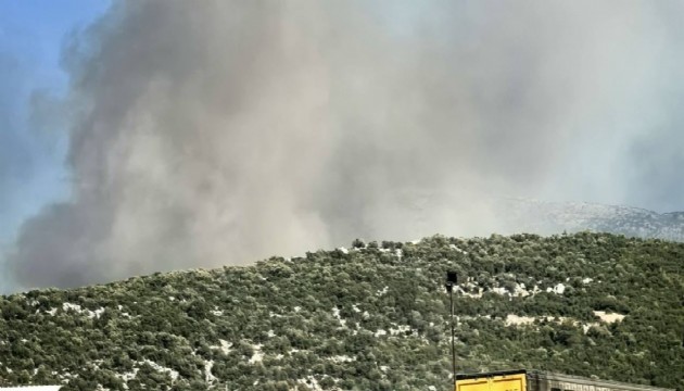 Manisa'da orman yangını