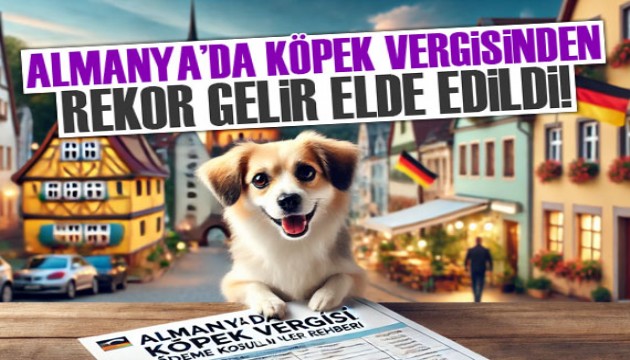 Almanya'da belediyeler 2023’te köpek vergisinden rekor gelir elde etti