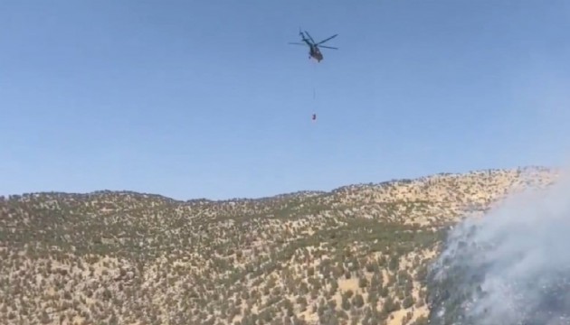 Şırnak'taki orman yangını kontrol altında