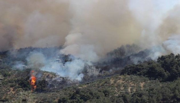 Hatay'da orman yangını