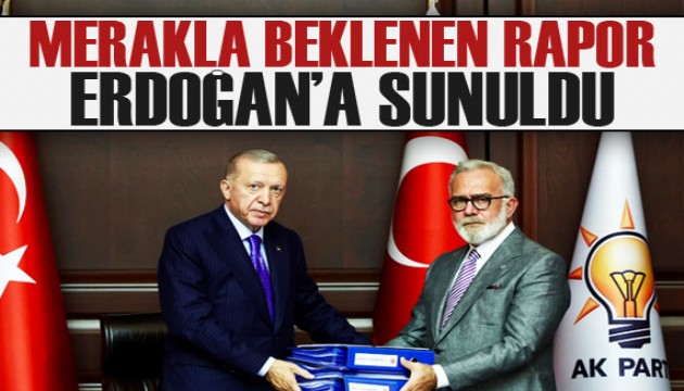 Başıboş sokak köpeklerine ilişkin rapor Cumhurbaşkanı Erdoğan'a sunuldu