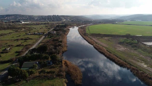 Riva deresi siyaha döndü: Bakanlık harekete geçti