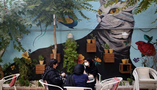 Sıra dışı 'Kedi Müzesi': Onlarca hayvana ev sahipliği yapıyor