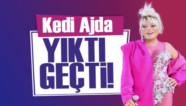 Ajda Pekkan 'kedi kadın' oldu!