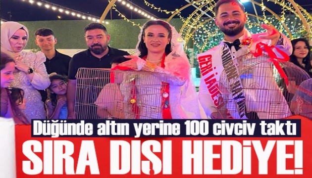 Sıra dışı hediye! Düğünde altın yerine 100 civciv taktı!
