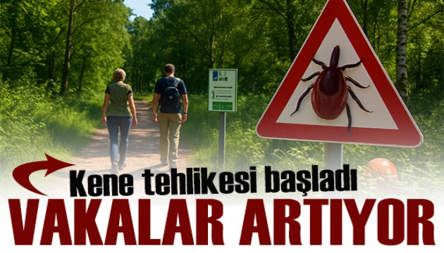 Uzmanlardan peş peşe 'dikkat' çağrısı: Kene tehlikesi başladı!