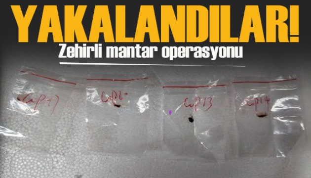 Zehirli mantar operasyonu: Hastalık yayacaklardı!