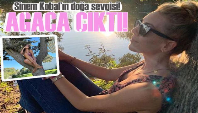 Sinem Kobal mini elbisesiyle ağaca çıktı!